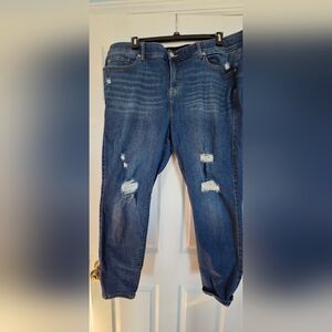 Torrid Blue Denim Jeans